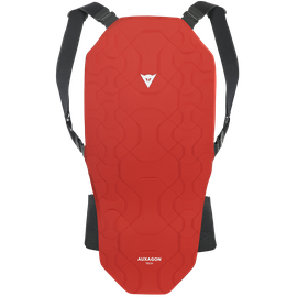 AUXAGON BACK PROTECTOR 2